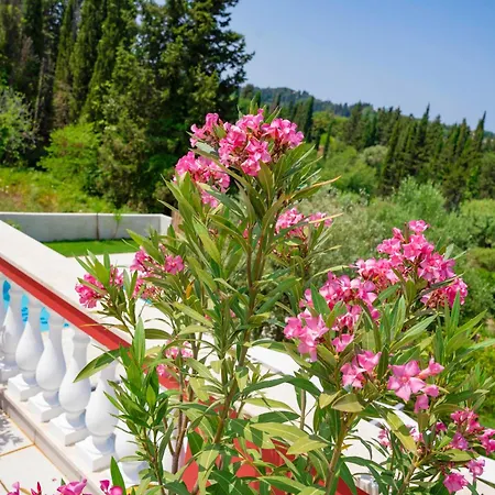 Gallini By Corfu Solutions Armenades