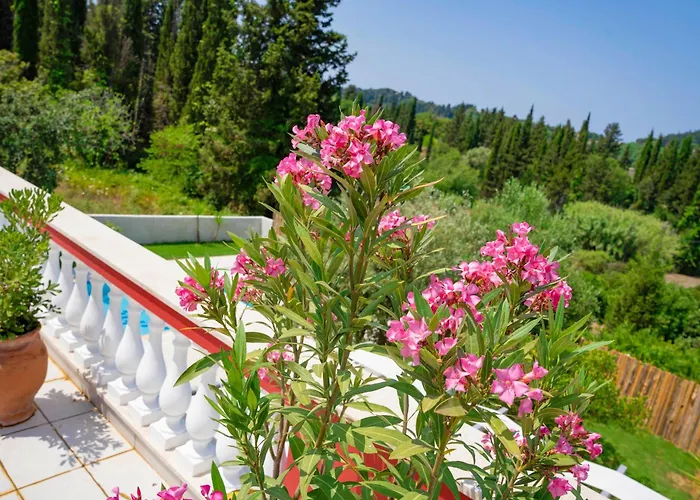 Gallini By Corfu Solutions Armenades